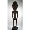 Image 11 : AN OLD SEPIK ANCESTOR HOOK,