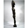 Image 14 : A WASKUK ANCESTOR SCULPTURE (nogwi),