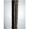 Image 10 : A SOLOMON ISLAND CEREMONIAL SHIELD,