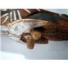 Image 6 : A SOLOMON ISLANDS ANCESTOR SCULPTURE,
