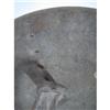 Image 7 : AN OLD AFRICAN PARRYING SHIELD,