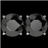 Image 1 : 5.15 ctw Fancy Black Diamond Solitaire Stud Earrings 10k White Gold - REF-82M2G