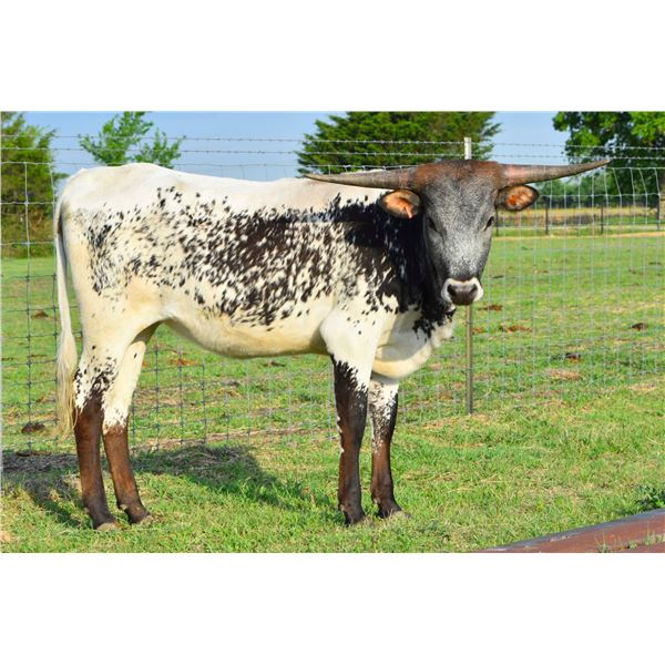 HELM SECRET LOVE 923