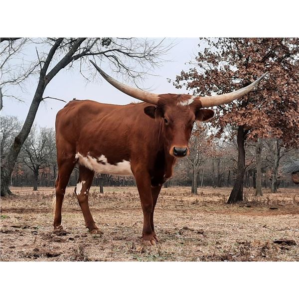 RED HOT ROSEMARY HCL