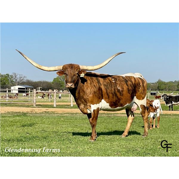 PIPPIN'S PAULINA SRC