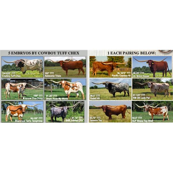 EMBRYO PACKAGE - GROUP OF 8