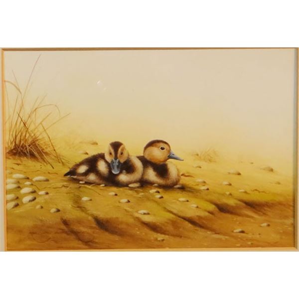 Waterhouse, Ralph, Red Head Chicks, gouache, 5" x 7"