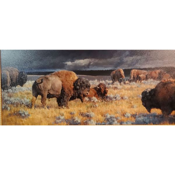 Glazier, Nancy, Restless  canvas print, 16" x 24", #58/93