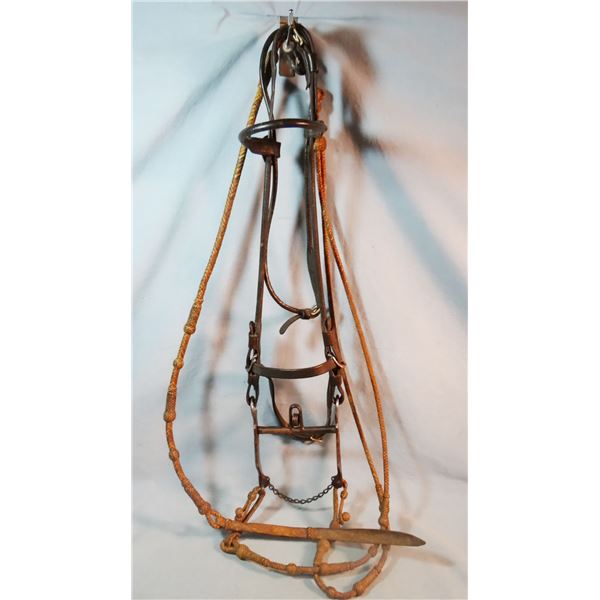 F. A. Meanea  rolled leather headstall w/braided leather reins, Buermann gal leg bit, ca 1886
