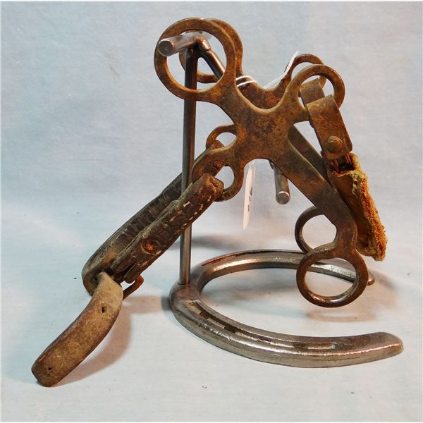 McChesney hackamore bit, rare