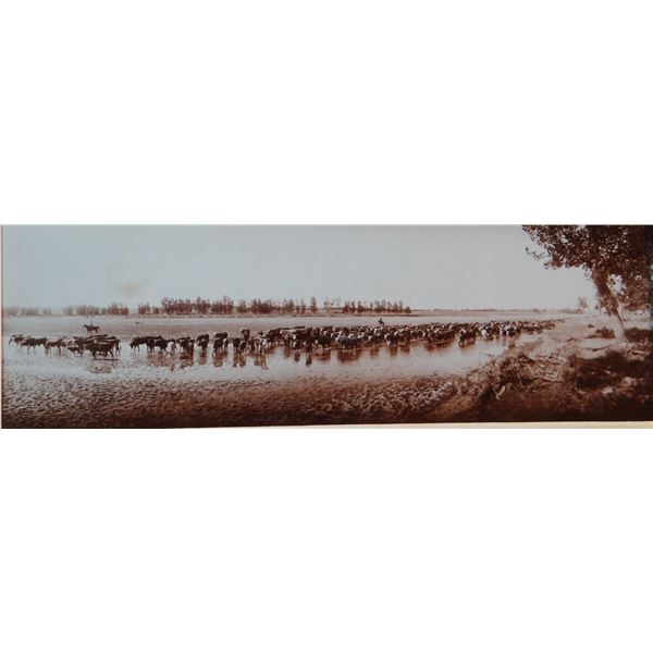 L. A. Huffman (1854-1931) sepia toned original photograph, Throwing Cattle On Water, Big Dry North M