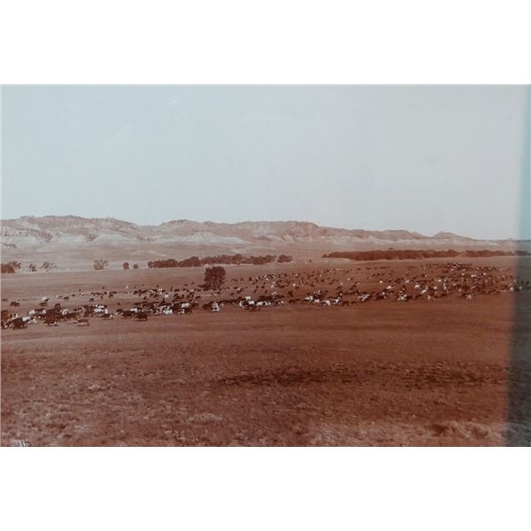 L. A. Huffman (1854-1931) sepia toned original photograph, Herd Moving From Cash Creek on Powder Riv