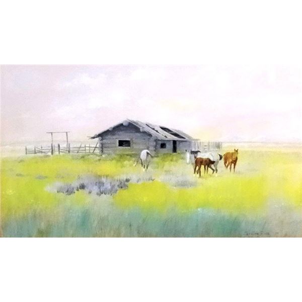 Cuts The Rope, Clarence, (1935-2000) water color, Homestead Cabin, 1978, 18" x 30", signed lower rig