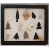 Image 3 : Oregon Coast points, 2 small trays, 14 & 5 points each, 1-3"