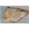 Image 2 : Petrified dinosaur hide, 4" x 2 1/2", authenticated