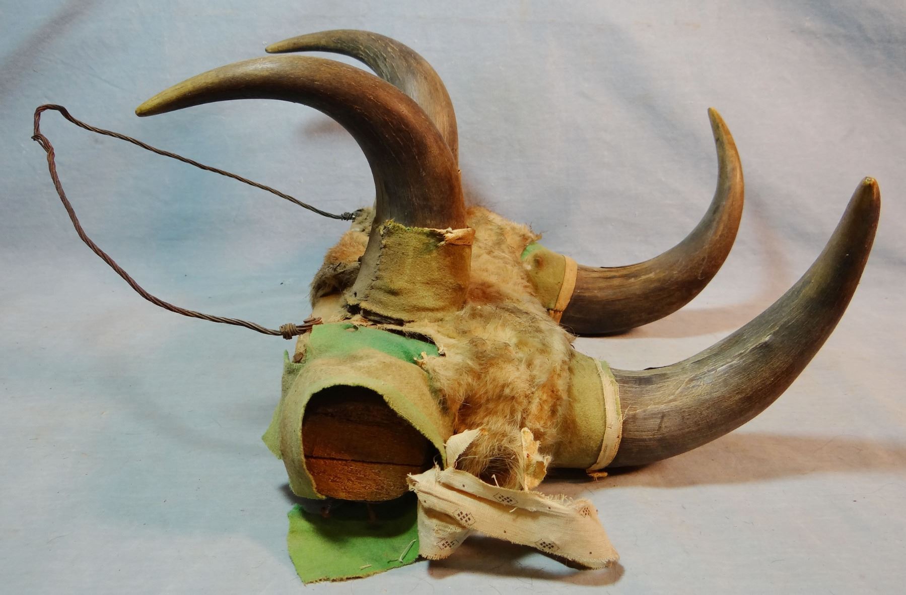 Buffalo horn hat rack,