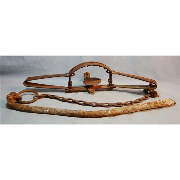 S. Newhouse #14 U. S. trap, exposed teeth, marked on jaw and under pan, chain & spike