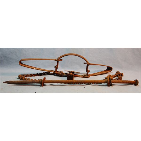 Victor #3 double spring trap w/chain & spike