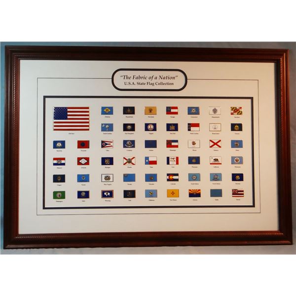 USA State Flag Collection, 14" x 26" and Bald Eagle photo, framed