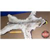 Image 1 : Lynx Fur Rug (46"W x 44"L)