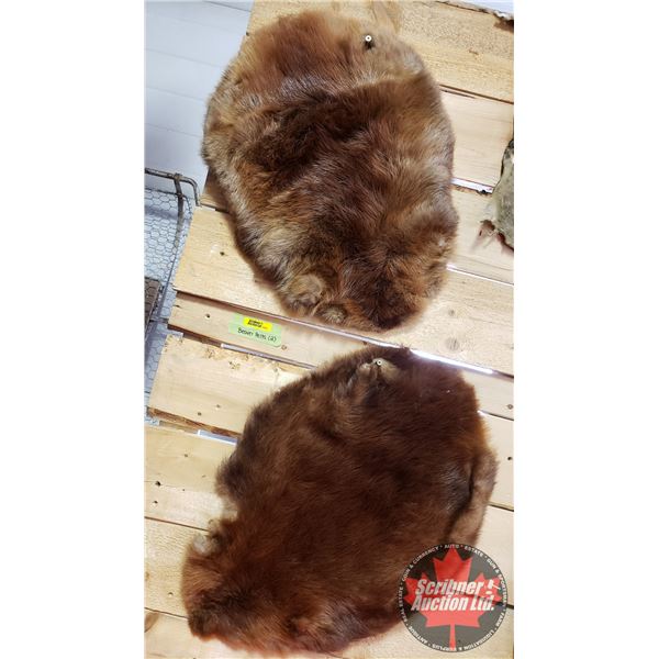 Beaver Pelts (2) (20"H x 14"W) (Canadian Buyers Only)