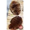 Image 1 : Beaver Pelts (2) (20"H x 14"W) (Canadian Buyers Only)