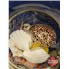 Image 2 : Canister Jar w/Sea Shells (13-1/2"H)