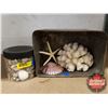 Image 1 : Vintage Ship Tin w/Corral, Star Fish & Shell & Jar Sea Shells