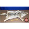 Image 1 : Coyote Rug (38"L x 31"W) (Canadian Buyers Only)