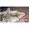 Image 2 : Coyote Rug (38"L x 31"W) (Canadian Buyers Only)