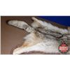 Image 3 : Coyote Rug (38"L x 31"W) (Canadian Buyers Only)
