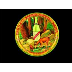 Bartlett Spring Mineral Water Serving Tray