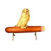Image 1 : Owl Cigar Store Display