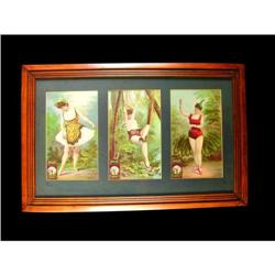 3 Seal Of North Carolina Tobacco Signs