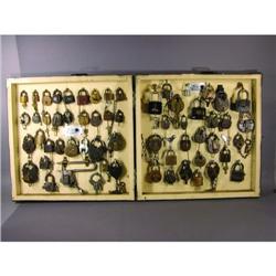 Display Box of 60 Padlocks