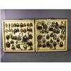 Image 1 : Display Box of 60 Padlocks