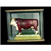 Encased Replica of Hereford Steer