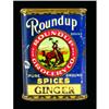 Image 1 : Round Up Ginger Spice Tin