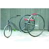 Image 1 : Velocipede Tricycle