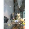 Image 1 : 5 CARVED ANIMAL FIGURINES