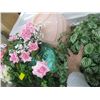 Image 2 : TWO BOXES AND A LOT OF ASSORTED VASES WITH ARTIFICIAL FLOWERS AND PLANTS