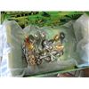 Image 2 : COLLECTOR SPOON DISPLAY CASE WITH BOX OF SPOONS