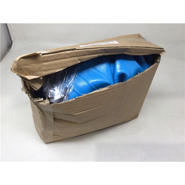 Balance Ball and Pump