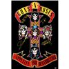 Image 1 : Signed Guns N Roses "Appetite for Destruction" Poster