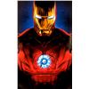 Image 1 : Robert Downey Jr Autograph Signed Iron Man Poster