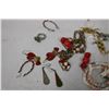 Image 2 : Costume Jewelry Lot