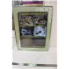 Image 1 : Picture in Frame