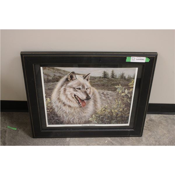 Picture in Frame Wolf