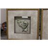 Image 2 : (2X THE MONEY) Shadow Box Pictures