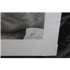 Image 2 : Naturally Equal Pictures
